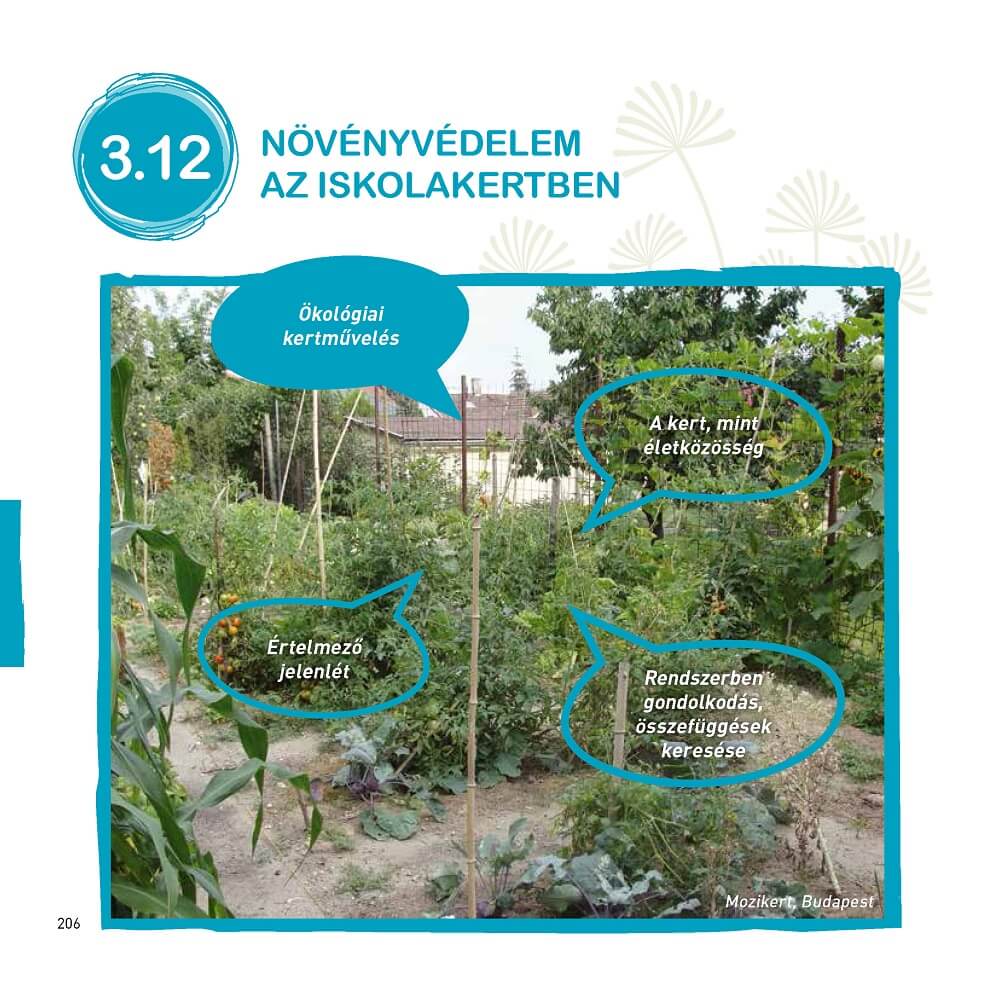 Iskolakertészeti kézikönyv I-II. kötet - Image 3