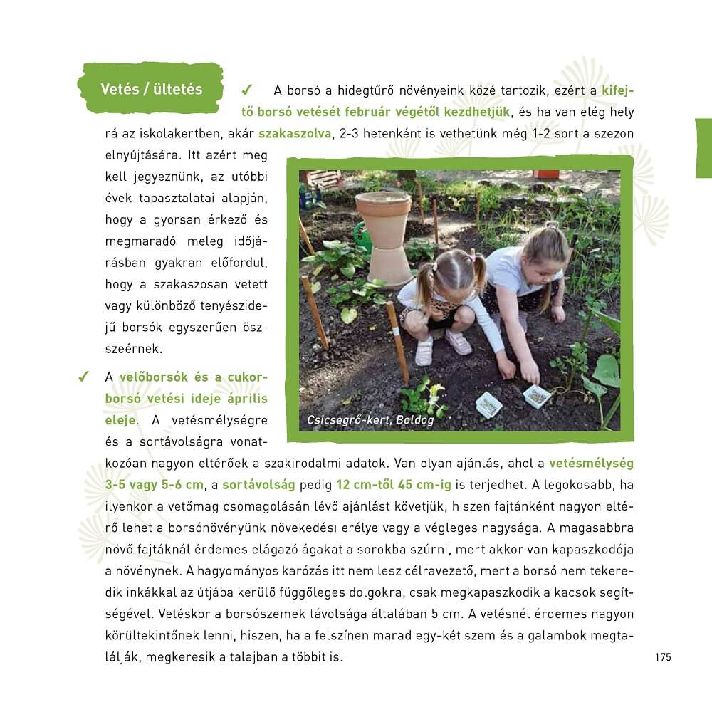 Iskolakertészeti kézikönyv I-II. kötet - Image 5