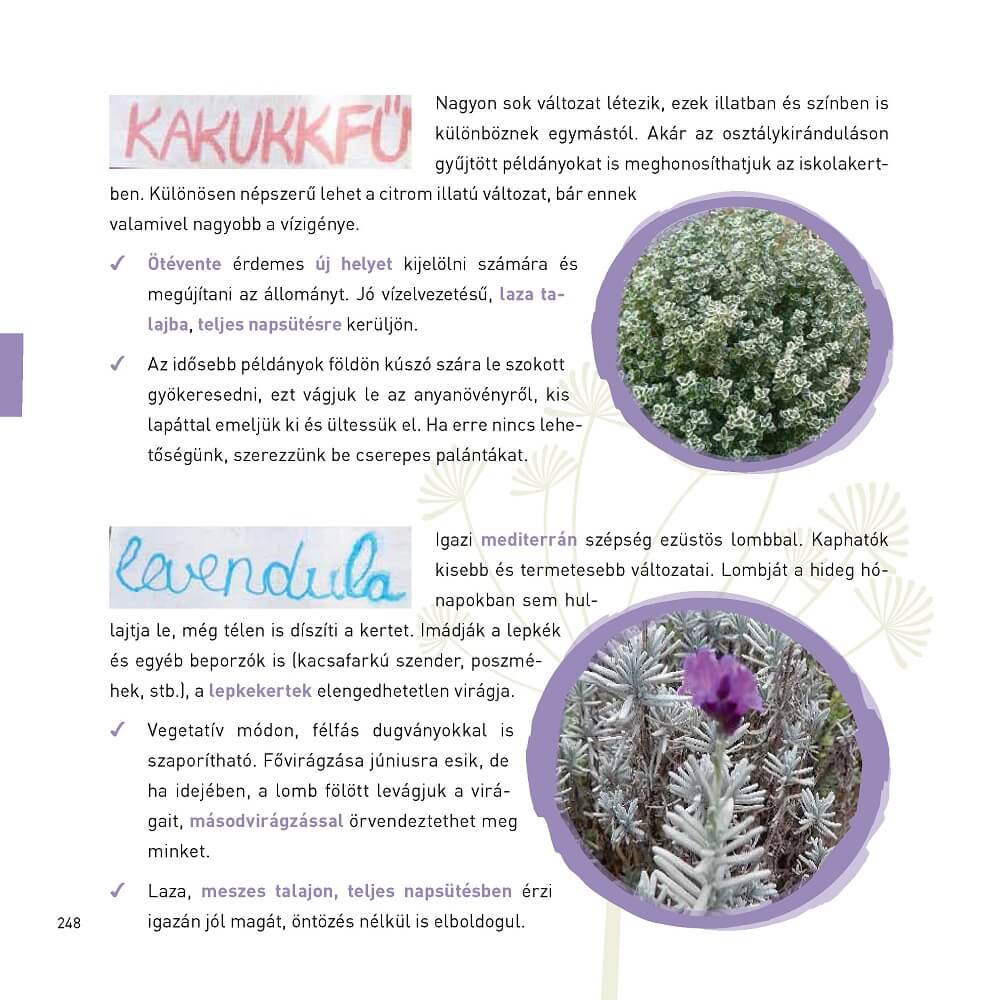 Iskolakertészeti kézikönyv I-II. kötet - Image 7